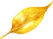 舞う金の葉4