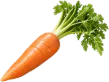 右下のにんじん1