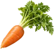 右下のにんじん2