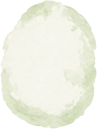 真ん中の淡い緑の丸